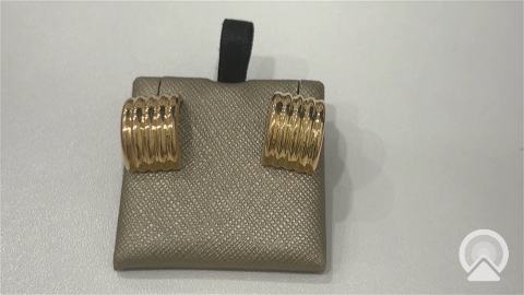 Gold Earring COES4FS-19 14k C Weight 3.0gr Fashion Earring Stud